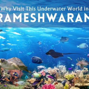 Underwater World in Rameswaram